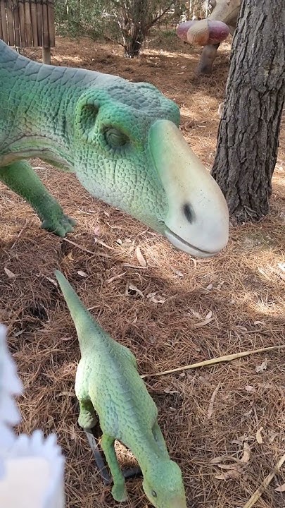 Maiasaurus Dinosaur World Somerville Part 1 YouTube maiasaurus-dinosaur-world-somerville-part-1-youtube