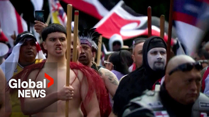 New Zealand: Thousands protest against Maori treaty bill outside Parliament