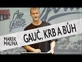 Gau krb a bh  marek malina  icf praha