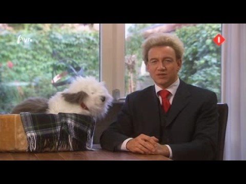 Koefnoen - Samson en Geert