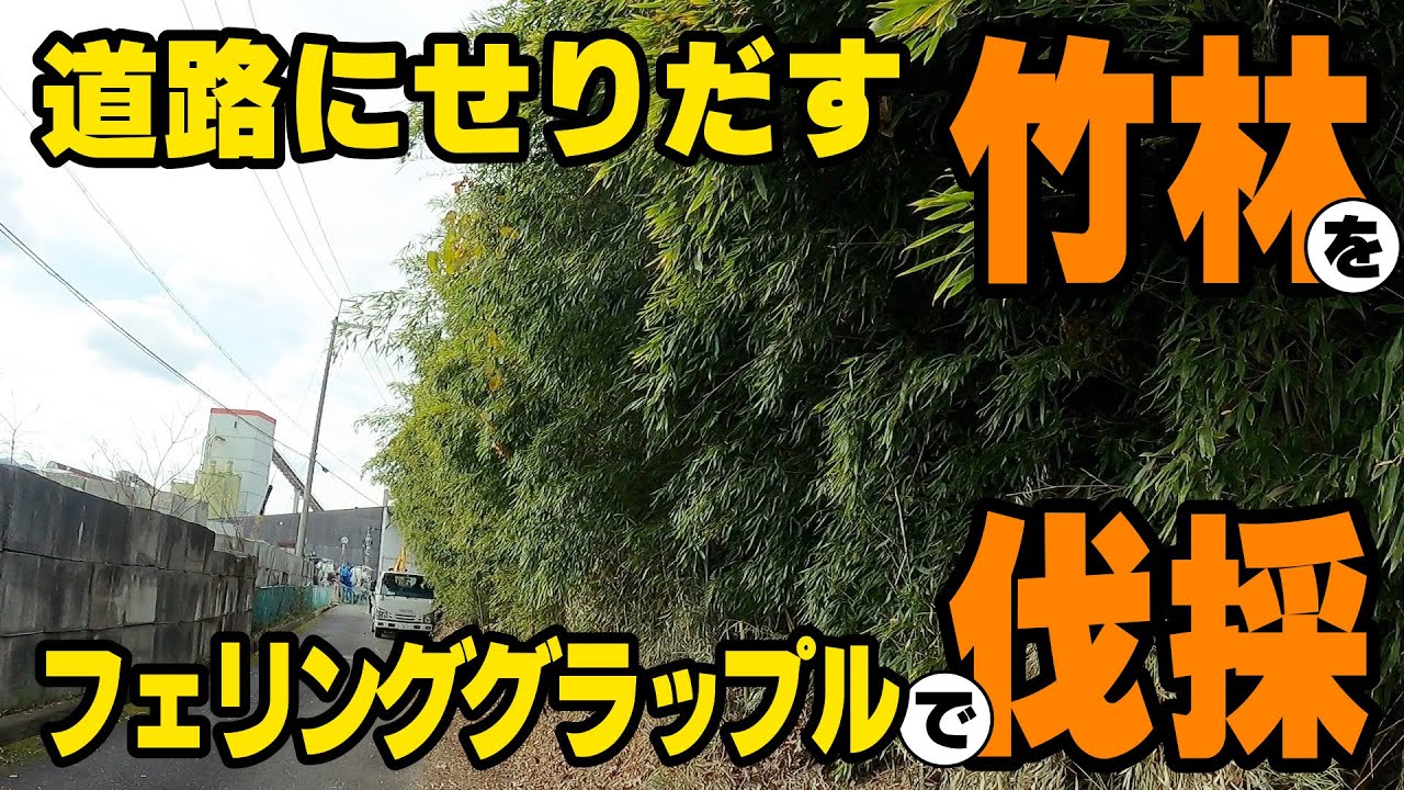 maxresdefault.jpg