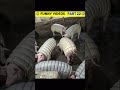 🤣 FUNNY VIDEOS PART 22 🤣 S facts A to Z #shots #funny #viral #viral #facts #comedy #shots #funny
