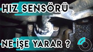 Hız Sensörü Nedir? Arızası Nasıl Anlaşılır?