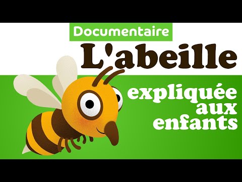 Vidéo: Qu'est-ce Que L'abeille