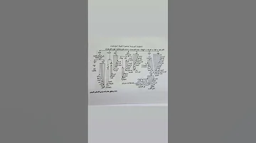 شجرة وافراع قبيلة البو شعبان الزبيدية 