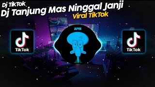 DJ TANJUNG MAS NINGGAL JANJI PANI FVNKY VIRAL TIK TOK TERBARU 2022!!