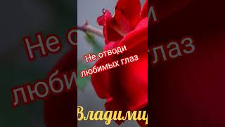 не отводи любимых глаз🙏🌹🌹🌹