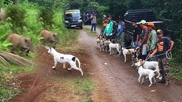 SANGAT SERU…RASA BERBURU DI LUAR NEGRI‼️