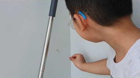 Leo bắt chuồn chuồn kim