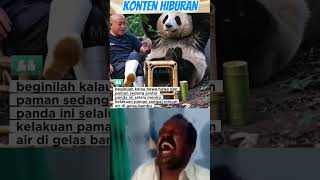 PANDA YANG SELALU MENIRU PENGASUHNYA ‼️ #funny #shortvideo