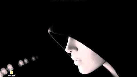 Web Data Extractor 8 3 Pro + Reg Key999999999999999999999999