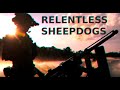 Special forces motivation  the relentless sheepdogs