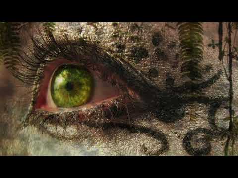 Jo Blankenburg - The Magellan Matrix (Alternative Version)