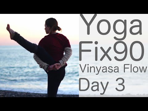 Yoga Practice Day 3: Vinyasa Flow to Bird Of Paradise: With Fightmaster Yoga