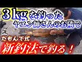 3kgアオリイカを釣りあげるヤエン師の横で新釣法「だもんで式」をしました。