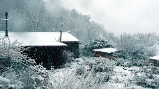 Первый снег этой зимы~ Дом в корейской горной деревне посреди снежной бури~!!