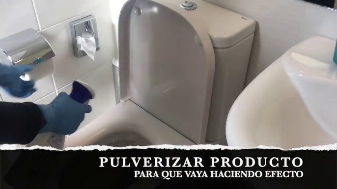 Cómo limpiar tu baño?: Conoce 6 tips y novedades útiles