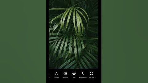 Quick and Easy VSCO Tutorial Using Android