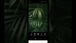 Quick and Easy VSCO Tutorial Using Android