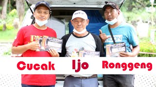 Soft Opening New PJS Surabaya - Cucak Ijo Ronggeng Fiky RKN Juanda screenshot 5