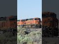 TRAIN SHORTS #01701 / WB BNSF 6369 MP 10.6 CAJON SUB 5-8-2026 #railroad #automobile #railway