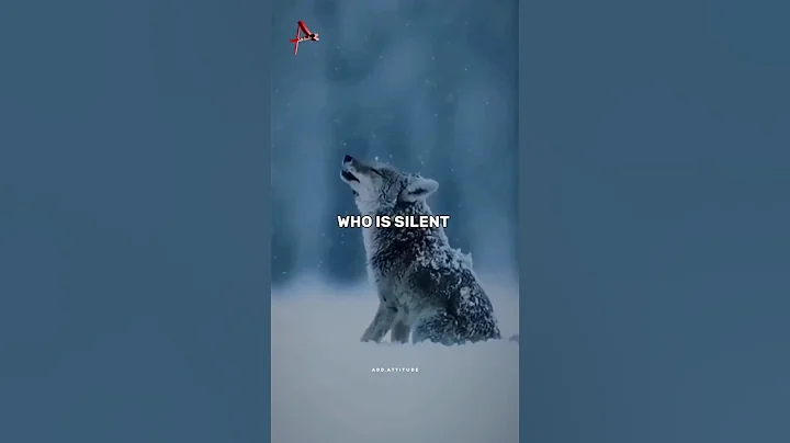 Sigma rule 😎🔥~ Attitude status 😈 | WhatsApp status | Attitude quotes #shorts #quotes #attitude