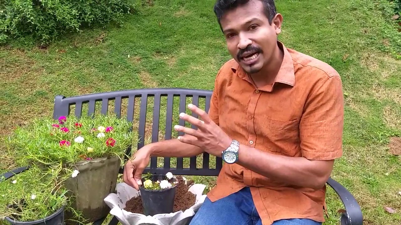 Moss Rose රහස් 🌹🌹🌹 0716028824