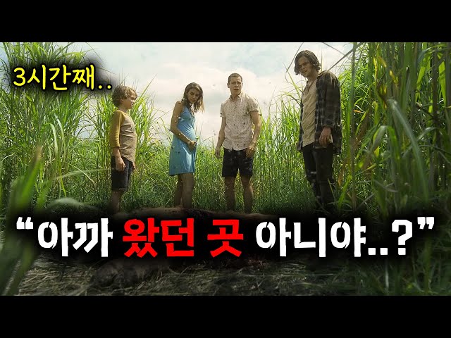 누군가의 목소리에 ?풀 속으로 향한 그들에게 벌어진 충격적인 일.. (영화리뷰/결말포함)(공포영화)