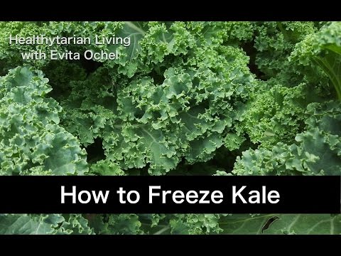 How to Pick and Freeze Kale - A Full Guide with Nutrition Info, Health Benefits & Tutorial