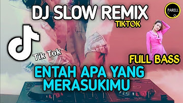 DJ ENTAH APA YANG MERASUKIMU - VIRAL TIKTOK BURUNG GAGAK NEW VERSI (DJ PARELL REMIX)
