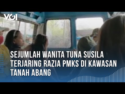 Sejumlah Wanita Tuna Susila Terjaring Razia PMKS di Kawasan Tanah Abang