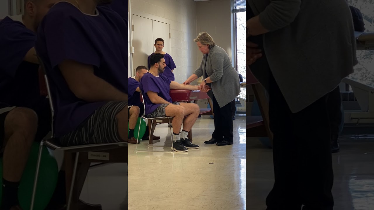 Pin & Stretch Pronator Teres