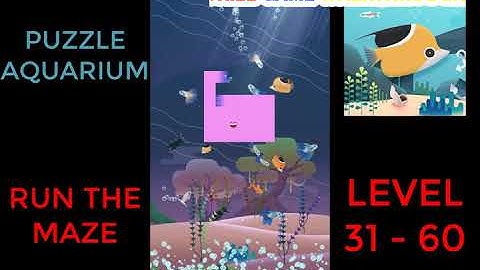 Puzzle Aquarium | Run The Maze Level 31 - 60 | Walkthrough