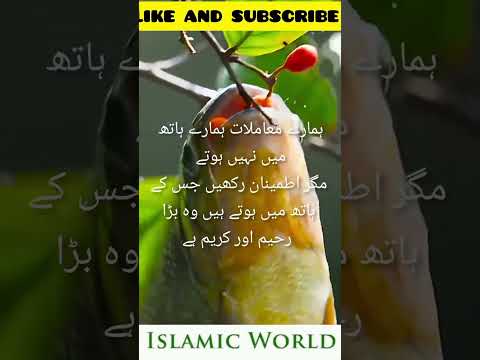 کانٹوں کے بیچ رہ کر ہی کھلتا گلاب ہے