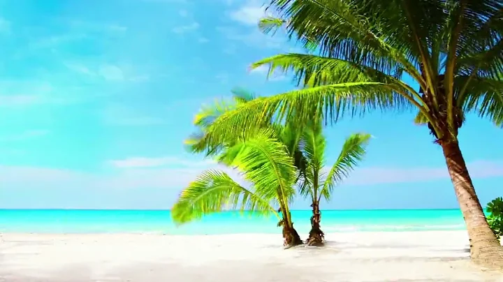 4k UHD Tropical Beach & Palm Trees on a Island, Ocean Sounds, Ocean Waves, White Noise for Sleeping