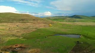 Full 41263 Forman Rd Polson MT 59860 Guide