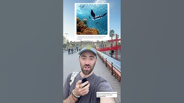 He invented a sea turtle robot🐢🤖 (& other cool people you should know about…)