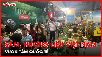 Lễ hội sâm và hương liệu, dược liệu quốc tế 2024: Khẳng định giá trị sâm Việt - PLO