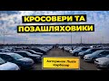 Авторинок Львів кросовери та позашляховики. Які їх ціни!?