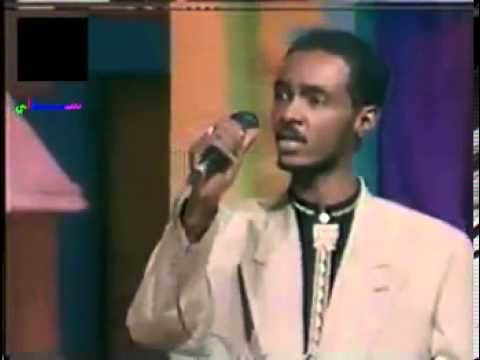 محمود عبدالعزيز ماتشيلي هم