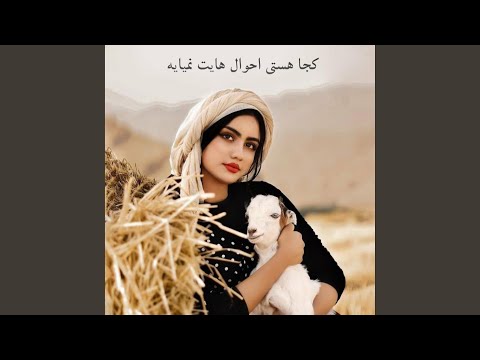 کجا هستی احوال هایت نمیایه ای