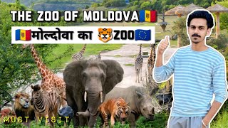 National zoo of Moldova🇲🇩 | मोल्दोवा का चिड़िया घर |mini vlog #trending #europe #viral #moldova