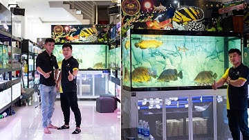 Đến showroom Truyền Trần thăm COMBO 3 HỒ CÁ CỘNG ĐỒNG "KHỦNG" của Jarvis Tank