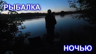 Ночная ловля леща на фидер. Night fishing for bream feeder