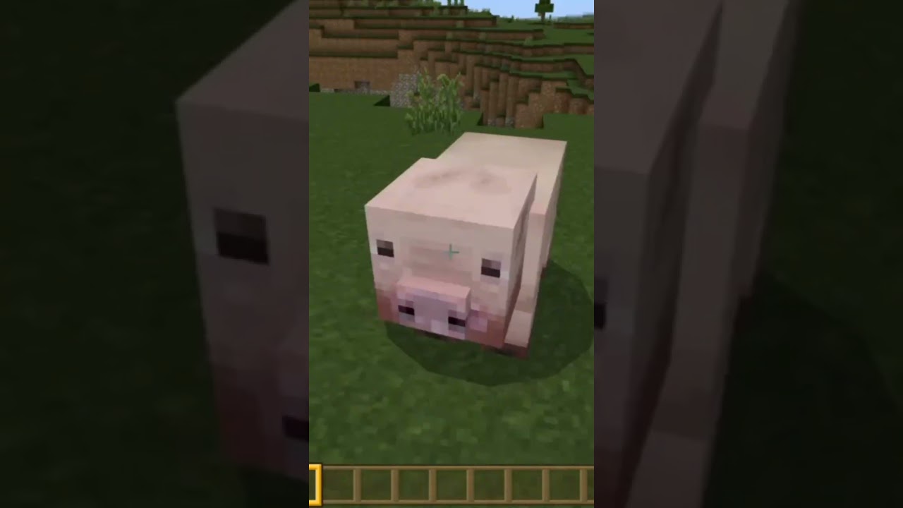 "NATURAL" Texture pack...