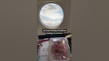 Thumbnail of Warm perfused beating donor heart in transit for a transplant #cardiology