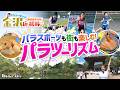 【パラツーリズム】パラスポーツと旅を一緒に満喫する、新しい応援の形を体験｜トヨタイムズスポーツ
