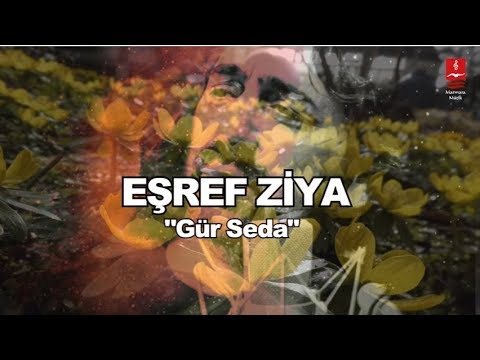 EŞREF ZİYA  \