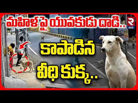 మహిళ పై యువకుడు దాడి..కాపాడిన వీధి కుక్క.. | Tamil Nadu Women Harassment | Dog Saves Women | RTV