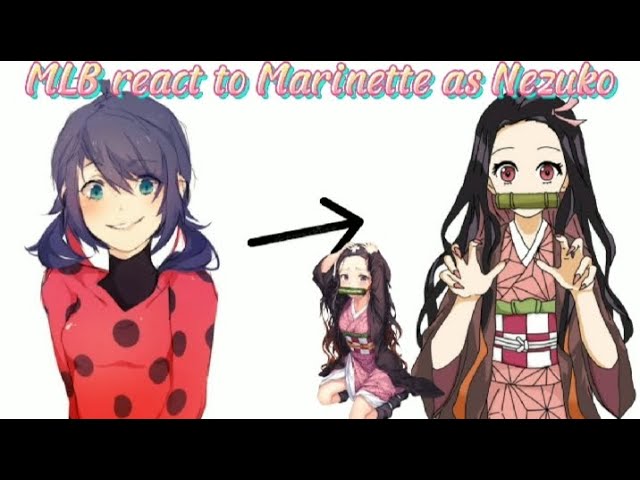 MLB react to Marinette as Nezuko||Gacha•√||Miraculous ladybug||